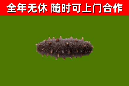 东宝区烟酒回收干海参.jpg
